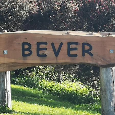 Bever Farm Waitoki Εξωτερικό φωτογραφία