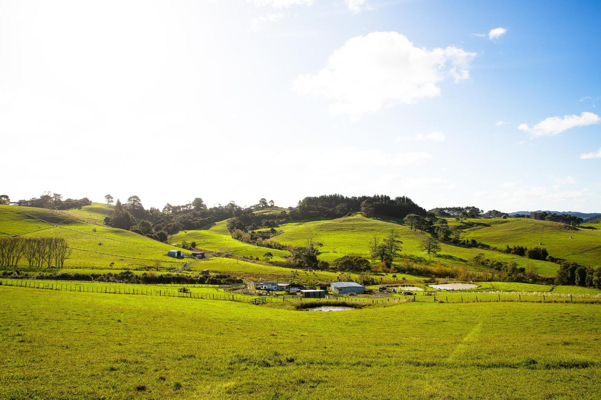 Bever Farm Waitoki Εξωτερικό φωτογραφία