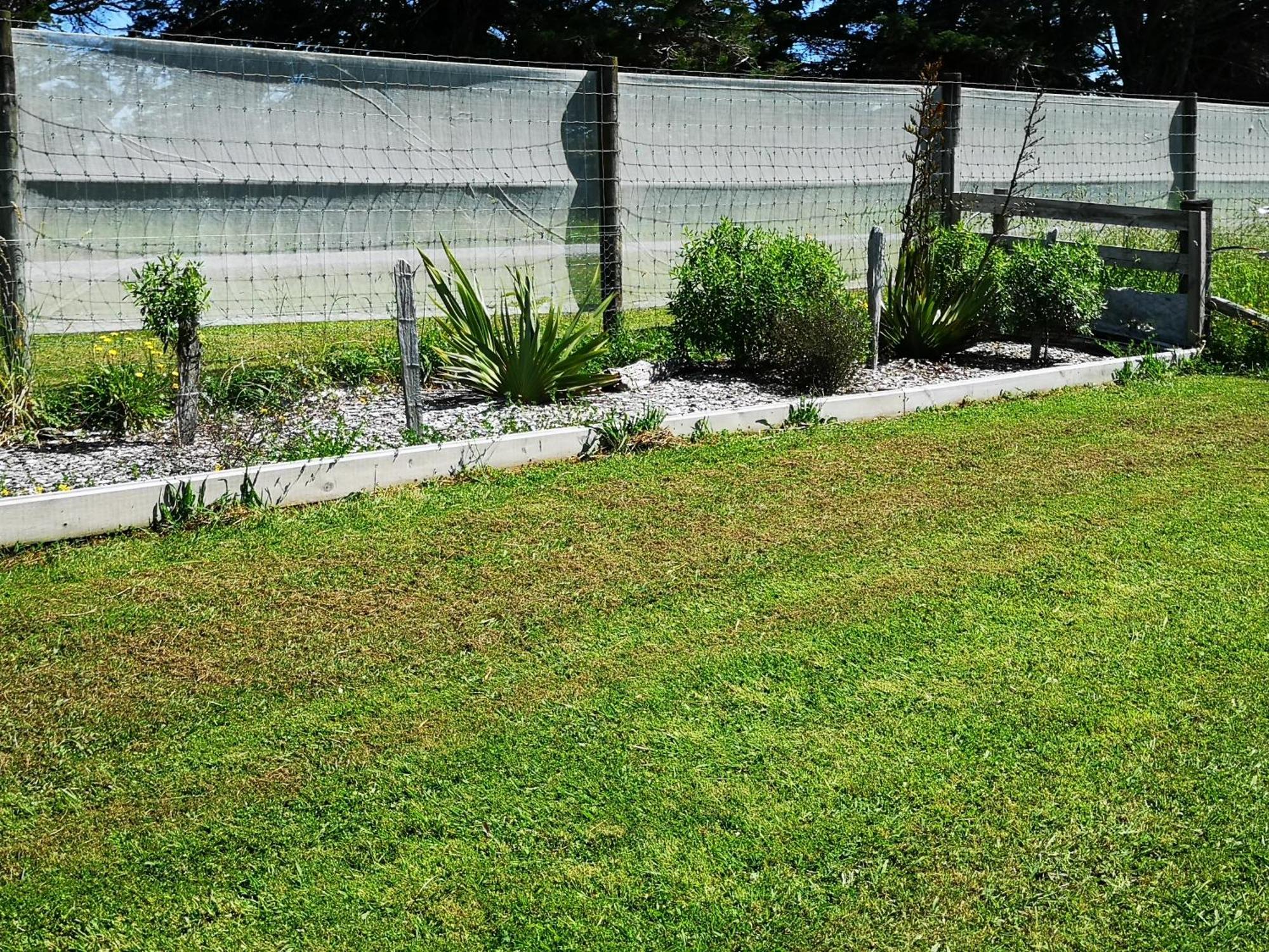 Bever Farm Waitoki Εξωτερικό φωτογραφία