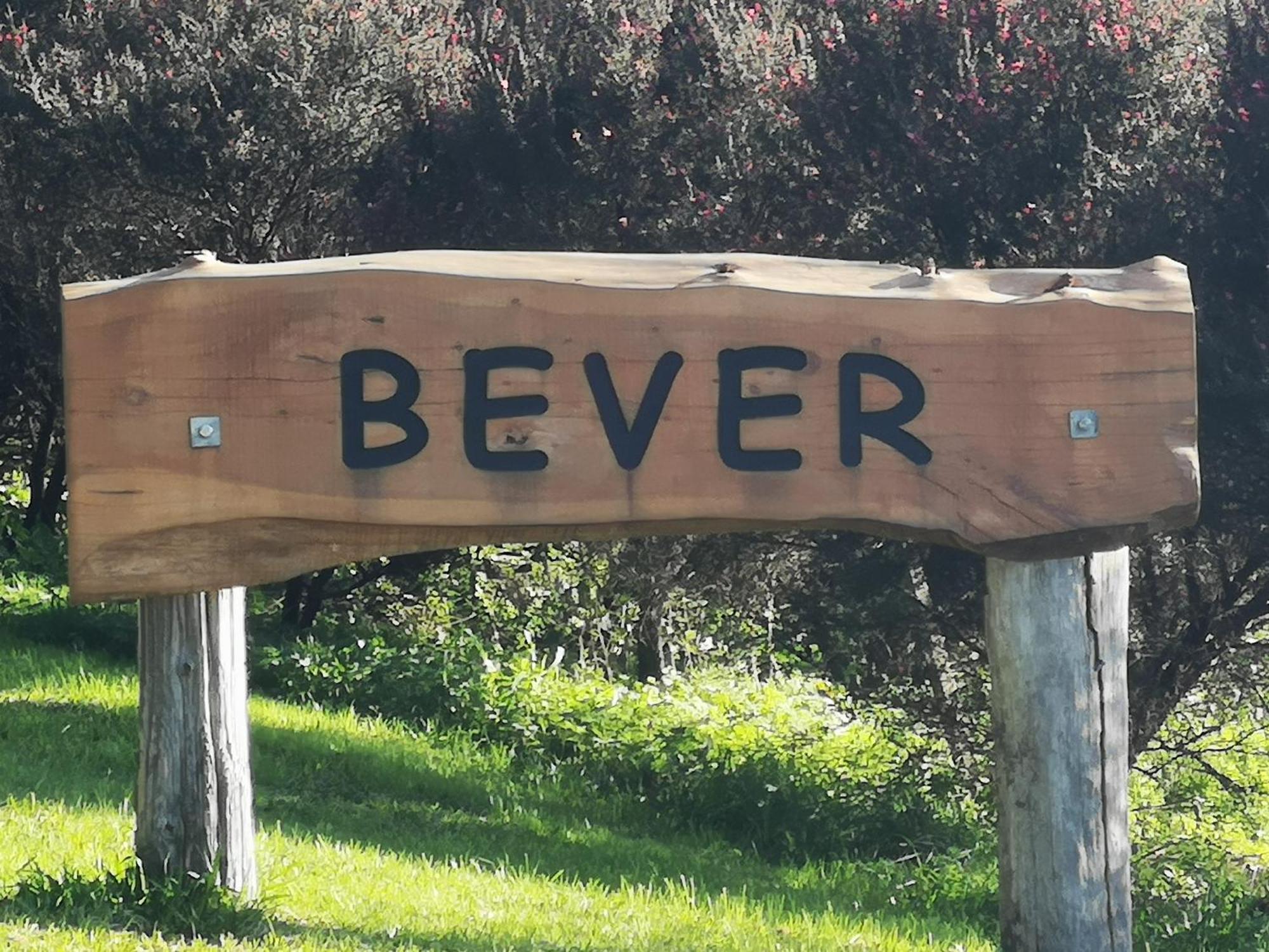 Bever Farm Waitoki Εξωτερικό φωτογραφία